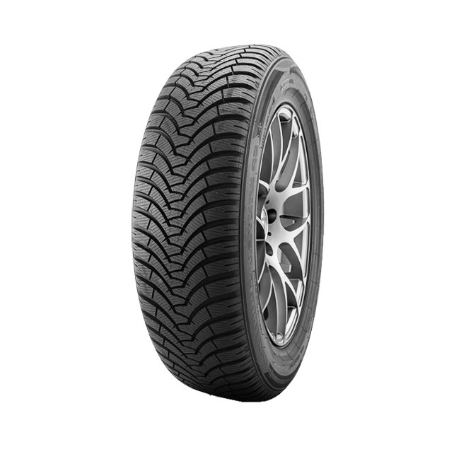 205/55 R16 TL 91H SP WINTER SPORT 500 DUNLOP